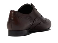 Massimo Matteo Luna Wing Tip -StepInStyle Store 6145IbDcg4L