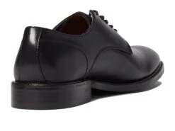 Winthrop Chandler -StepInStyle Store 61DiVxTRbLL