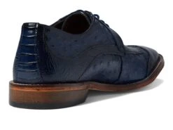 Stacy Adams Fanelli Wing Tip Oxford -StepInStyle Store 61IPnjh3L7L