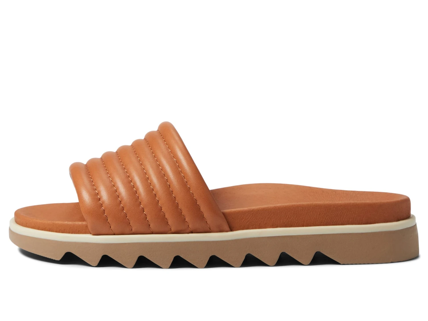 Cougar Naomi 6 Cougar Naomi - Image 4