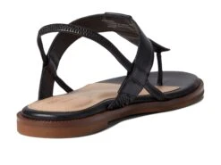 Cole Haan Winslet Thong Sandal -StepInStyle Store 61aumxc WL