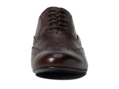 Massimo Matteo Luna Wing Tip -StepInStyle Store 61h49Z7w7rL