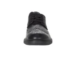 Cole Haan The Go-To Wing Oxford -StepInStyle Store 61jr1Fy7efL