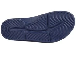 Deer Stags Ward -StepInStyle Store 71WSRN9QhfL